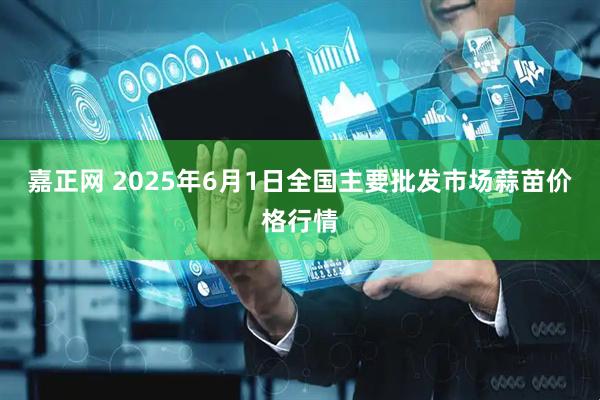 嘉正网 2025年6月1日全国主要批发市场蒜苗价格行情
